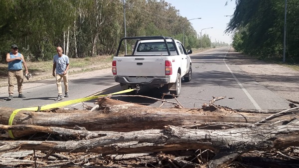 Viento Zonda: así trabaja el Comité de Emergencia Municipal de San Rafael