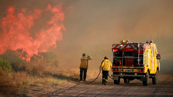 Incendios forestales: solicitan no hacer asados en lugares no habilitados