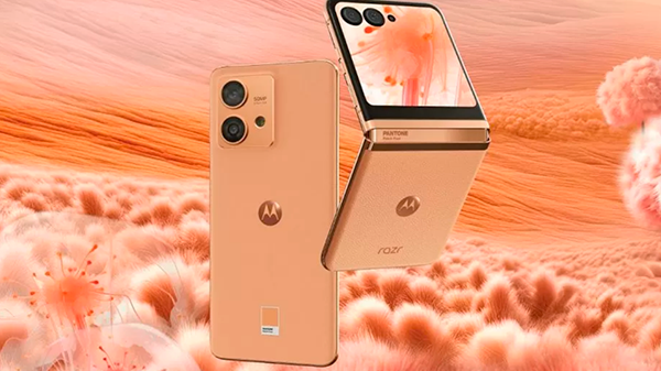 Motorola lanzó dos celulares con el «color del año 2024»: cómo son y qué precios tienen