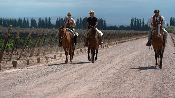 No se registran en Mendoza casos de encefalitis equina del oeste