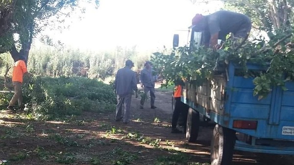 Equipos municipales avanzan en la limpieza y asistencia a los vecinos tras la tormenta