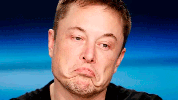 Elon Musk les mintió a todos: este video generó una ola de críticas