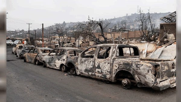 Chile en luto: incendios forestales dejan 122 muertos y una ola de destrucción
