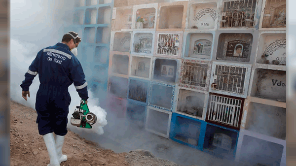 Perú declarará emergencia sanitaria la mayoría de sus regiones por dengue