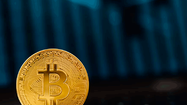 Bitcoin vuela: gurú inversor predijo cuánto durará la «fiebre del oro» de la criptomoneda
