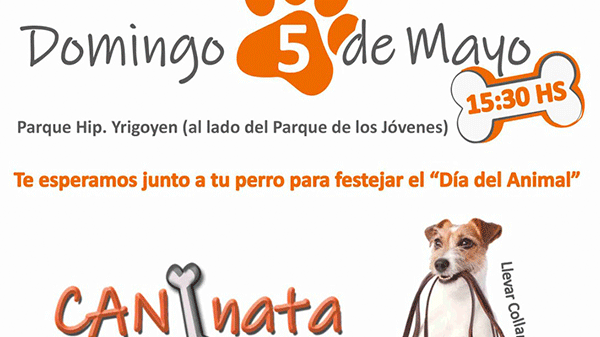 El domingo habrá una “Caminata canina” para concientizar sobre la tenencia responsable