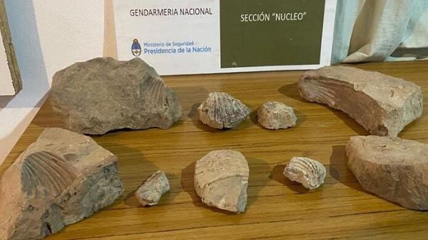 El Sosneado: Gendarmería incautó piedras con restos paleontológicos