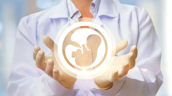 Congelamiento de óvulos: en qué casos y a qué edad recomiendan realizar la consulta médica