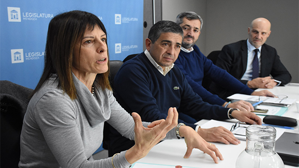 El proyecto para que los legisladores tengan más sesiones en el año recibió el apoyo de constitucionalistas