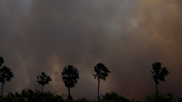 Incendios en los humedales de Brasil alcanzaron niveles récord
