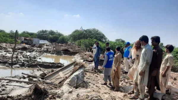 Brasil, Colombia, Perú y Ecuador absorben la mayor cantidad de refugiados en la región