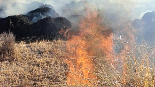 Ya se quemaron más de 4 mil hectáreas en El Sosneado