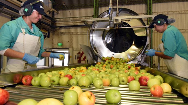 Alvear: Se realizará el primer censo industrial del departamento