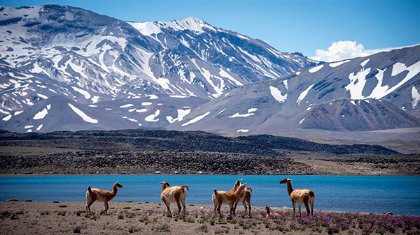 Ya se puede visitar la Laguna del Diamante