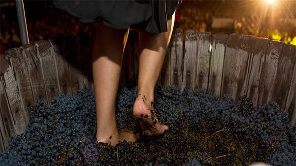 San Rafael tendrá su «Pisada de la Uva»