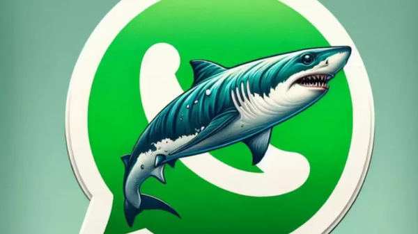WhatsApp: ¿cómo activar el «modo tiburón» y en qué consiste?