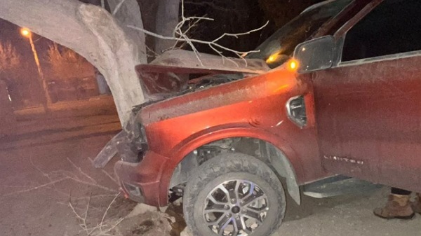 Conductor con 1.58 de alcohol chocó contra un árbol