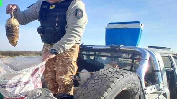 Detectaron caza furtiva en Ruta Nacional 143
