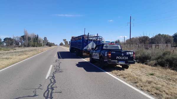 Trasladaba 44 bovinos sin las marcas a fuego
